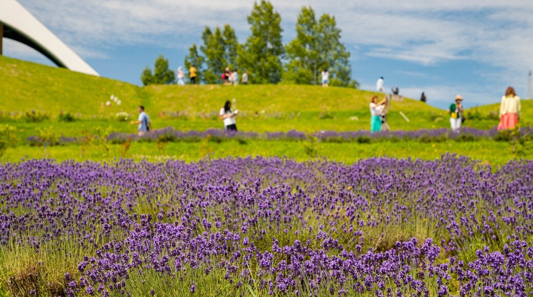 Hokuseinookatenbo Park