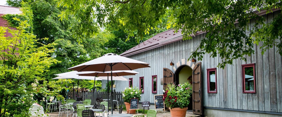Ueno Farm