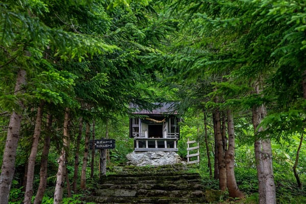 Tenninkyo Gorges which includes a park and forests