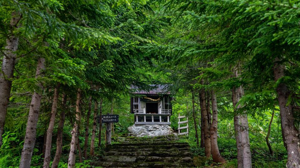 A traditional Japanese torii gate surrounded by lush greenery and a stone staircase leading up to a small shrine.