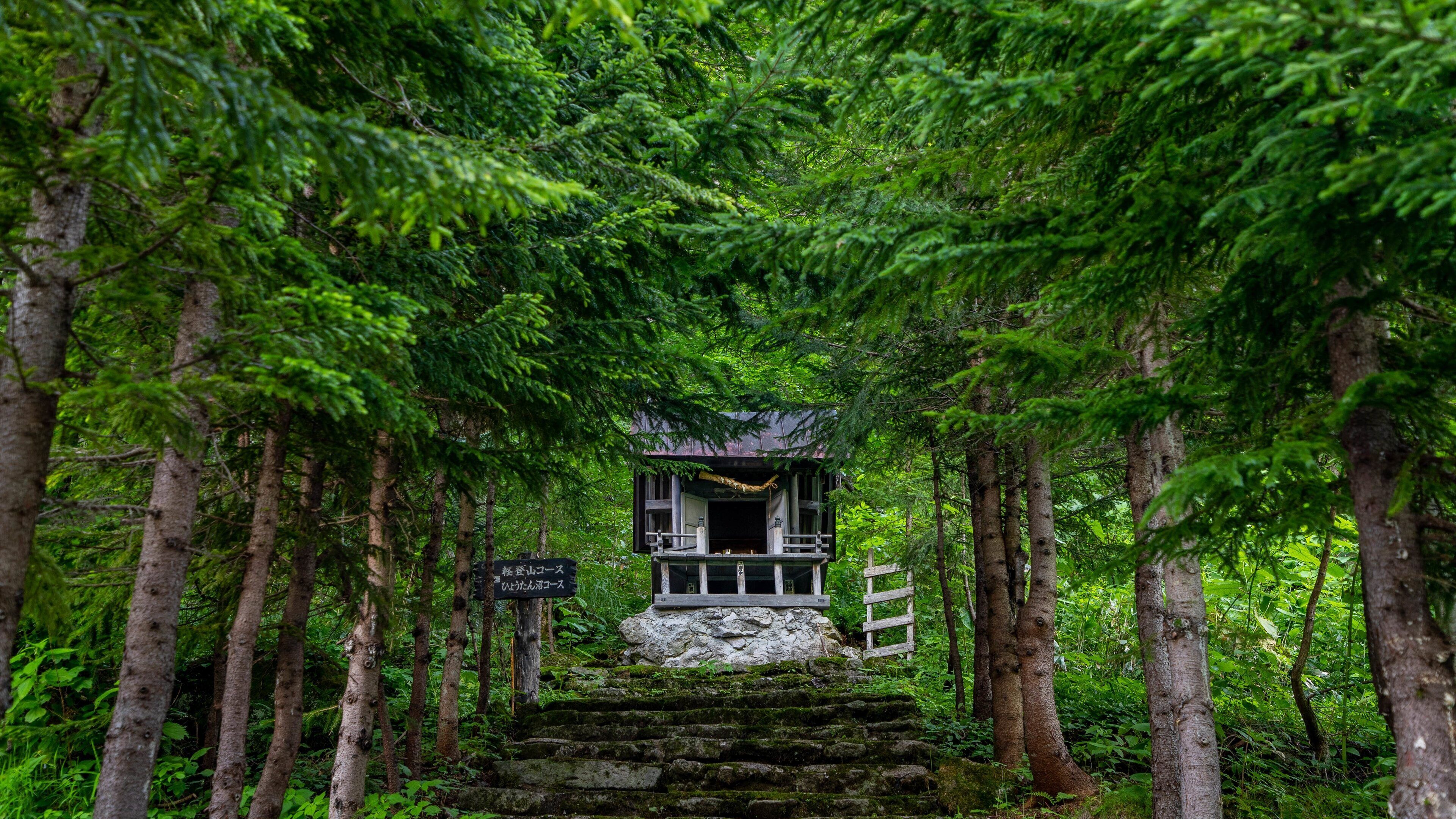 A traditional Japanese torii gate surrounded by lush greenery and a stone staircase leading up to a small shrine.