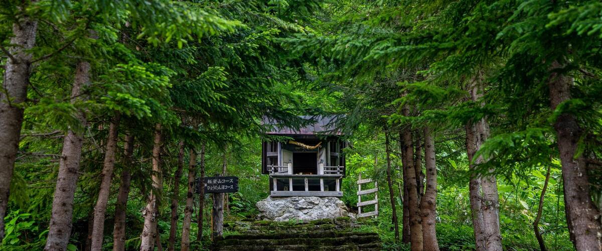 A traditional Japanese torii gate surrounded by lush greenery and a stone staircase leading up to a small shrine.
