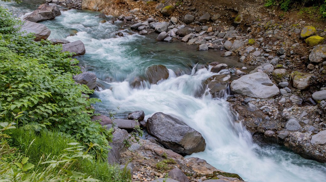 Higashikawa featuring a river or creek and rapids