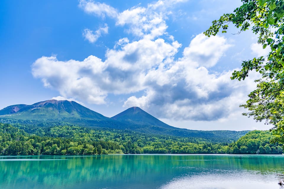 A mountain range, a lake, and a forested area.