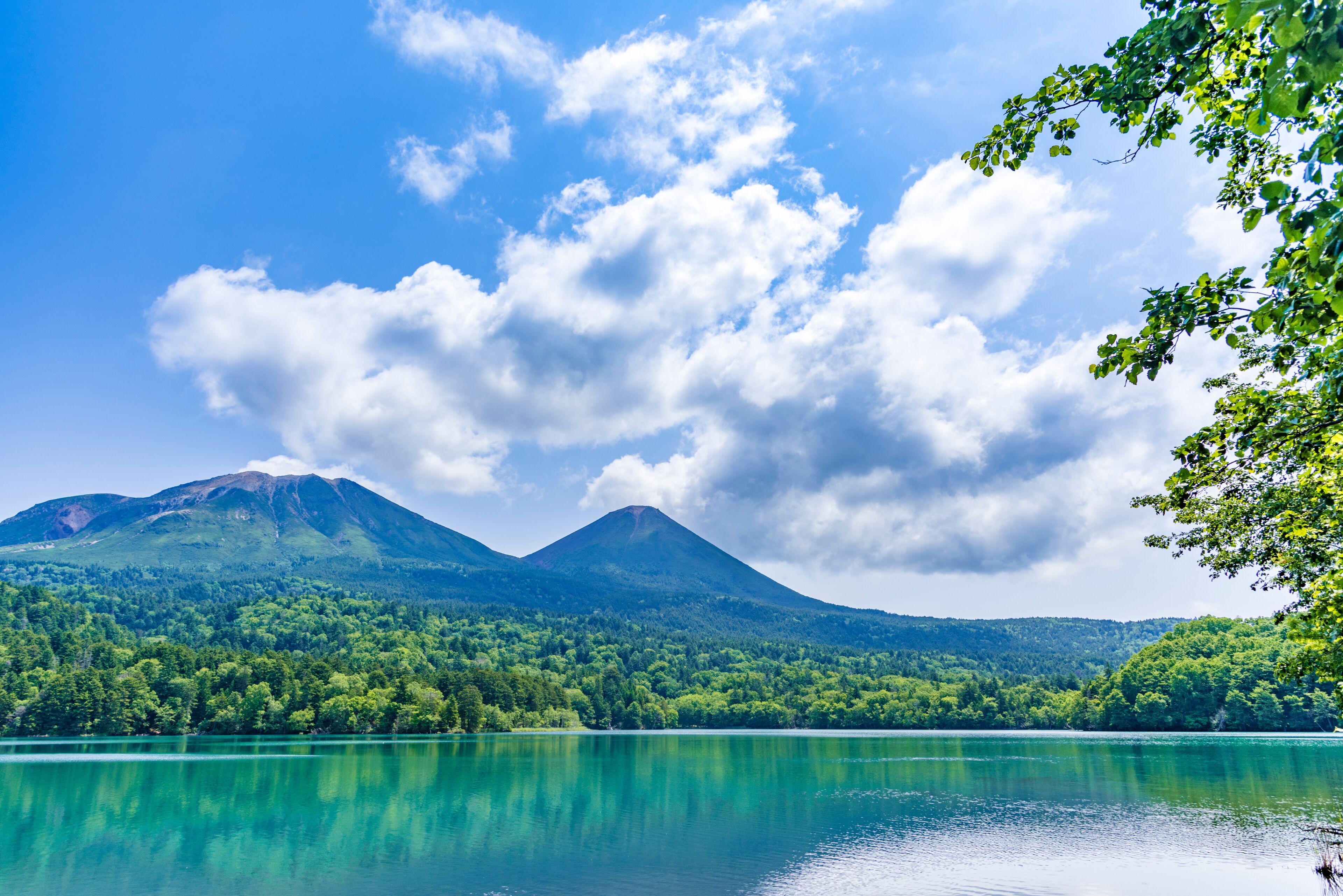 A mountain range, a lake, and a forested area.
