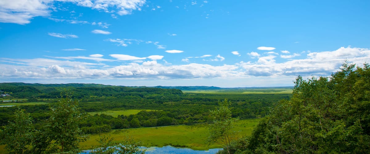 Scenery of Kushiro Marsh, Shutterstock ID 1118275406, SF SSA Case with Manager Approval: Case 07151371, Job: Prepay credit, Client/Licensee: , Other: