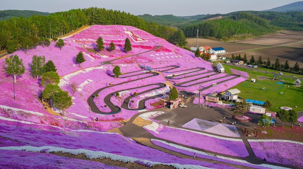 Higashimokoto Shibazakura Park