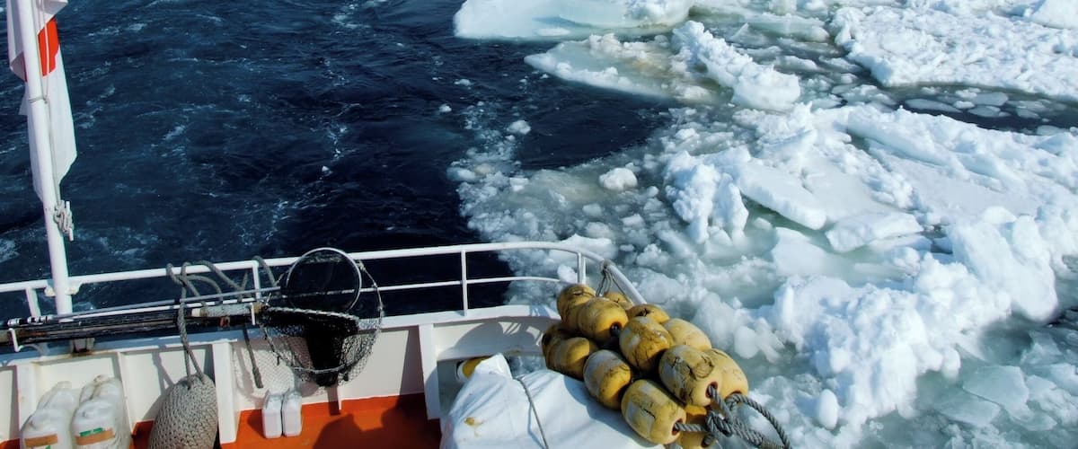 Drift Ice (Ice Floe)