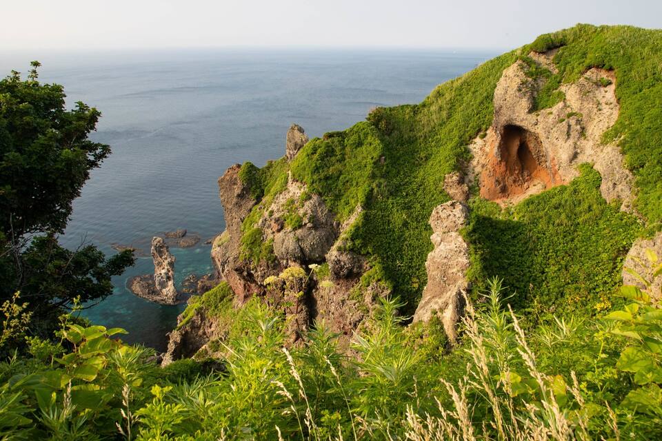 A coastal landscape with rocky cliffs, a cave entrance, and lush greenery.
