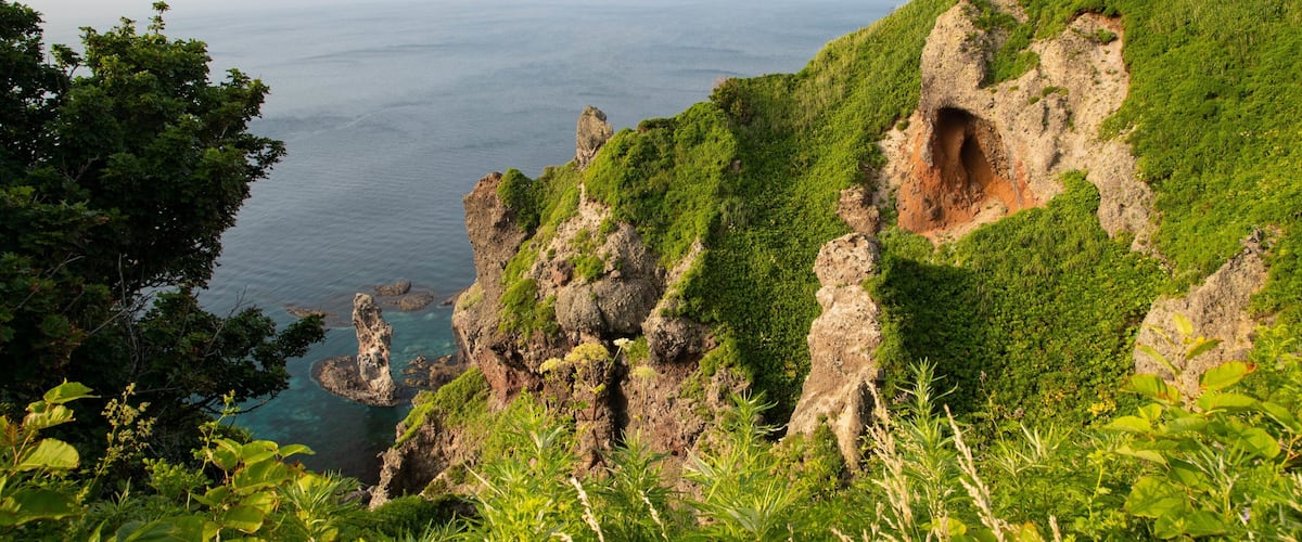 A coastal landscape with rocky cliffs, a cave entrance, and lush greenery.