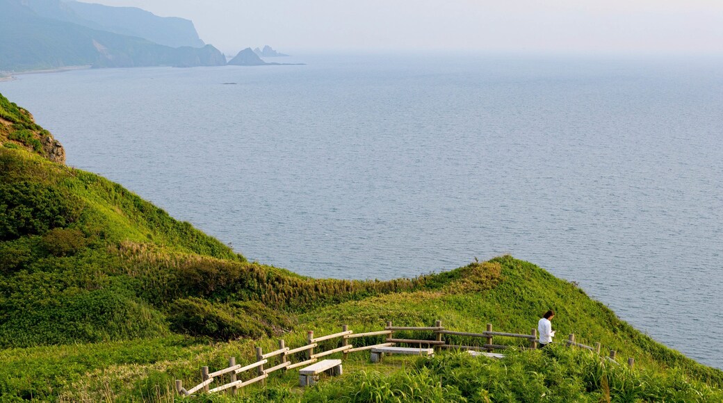 Cape Kamui featuring rocky coastline and general coastal views