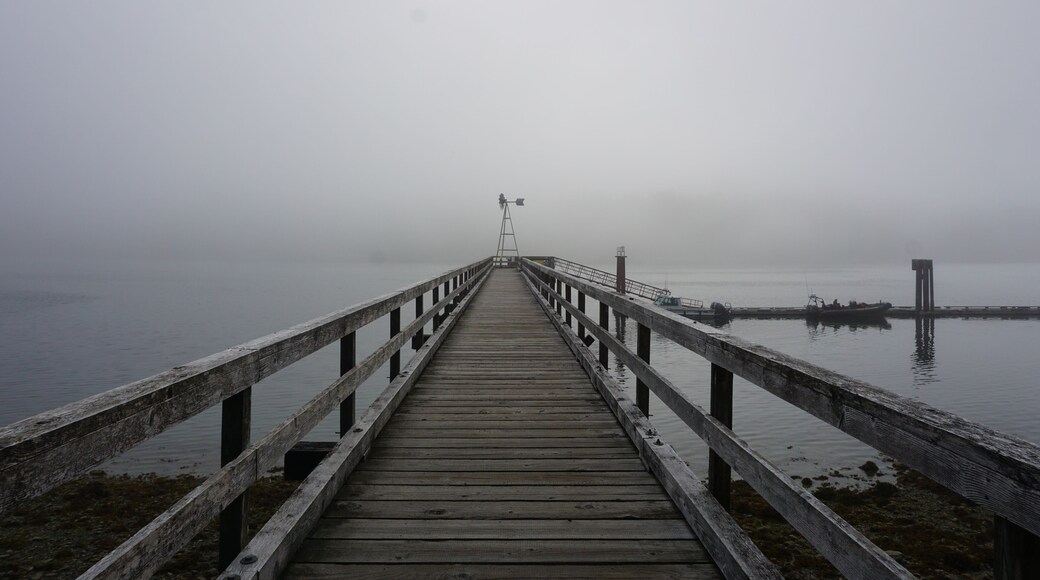 Parc Marin Provincial Maquinna