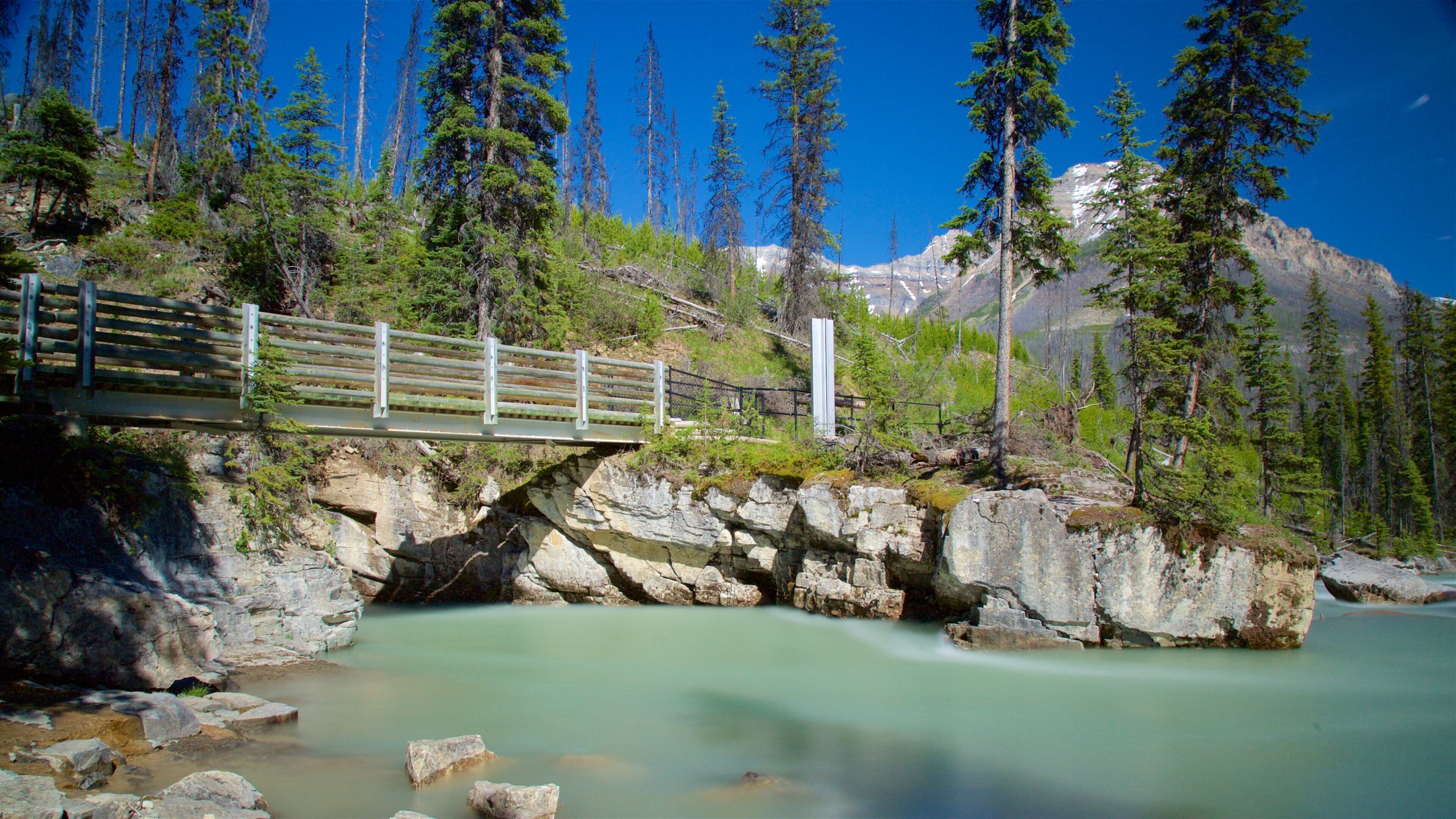 Invermere featuring tranquil scenes, a bridge and a river or creek