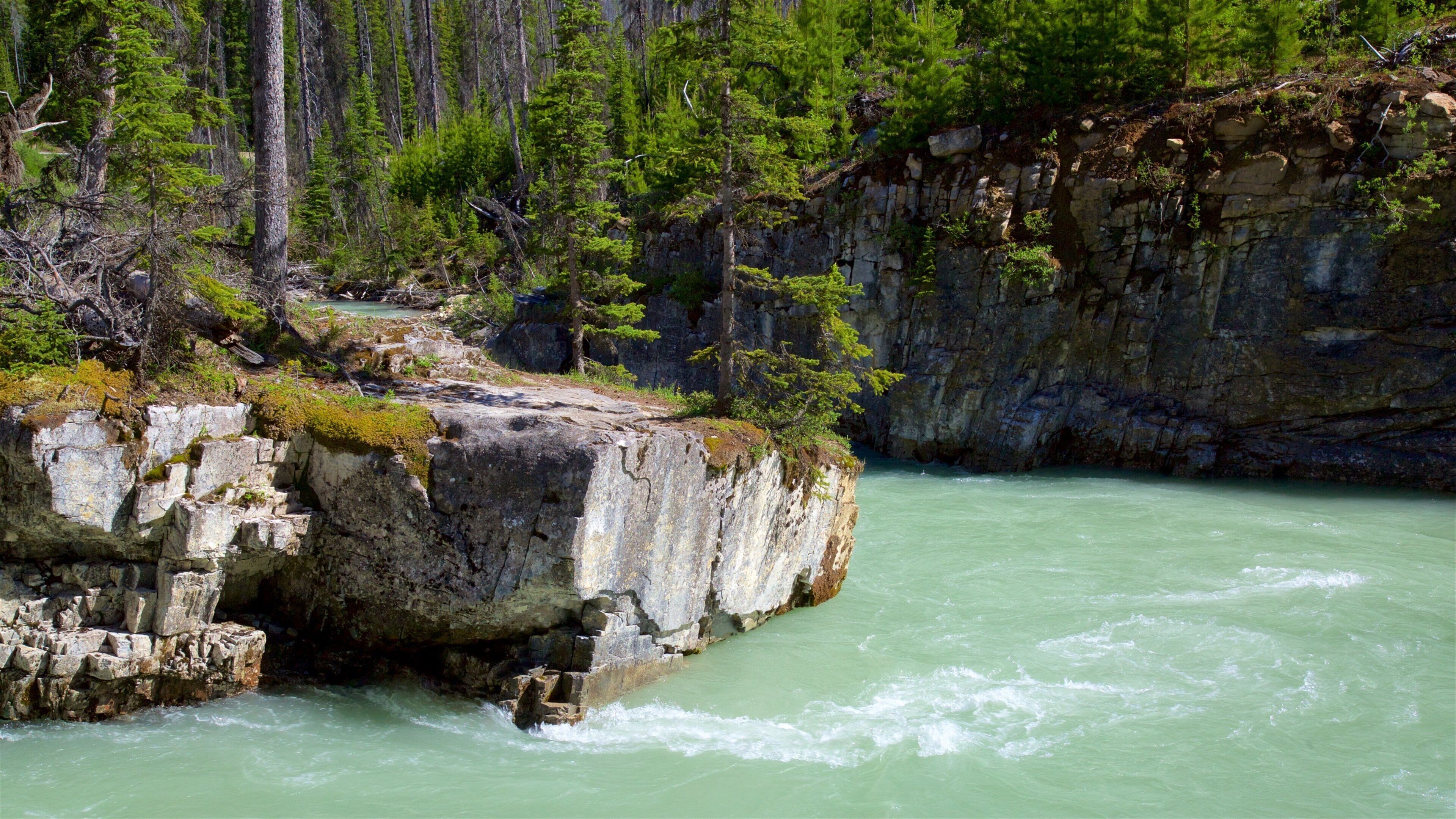 Marble Canyon featuring a river or creek and forest scenes