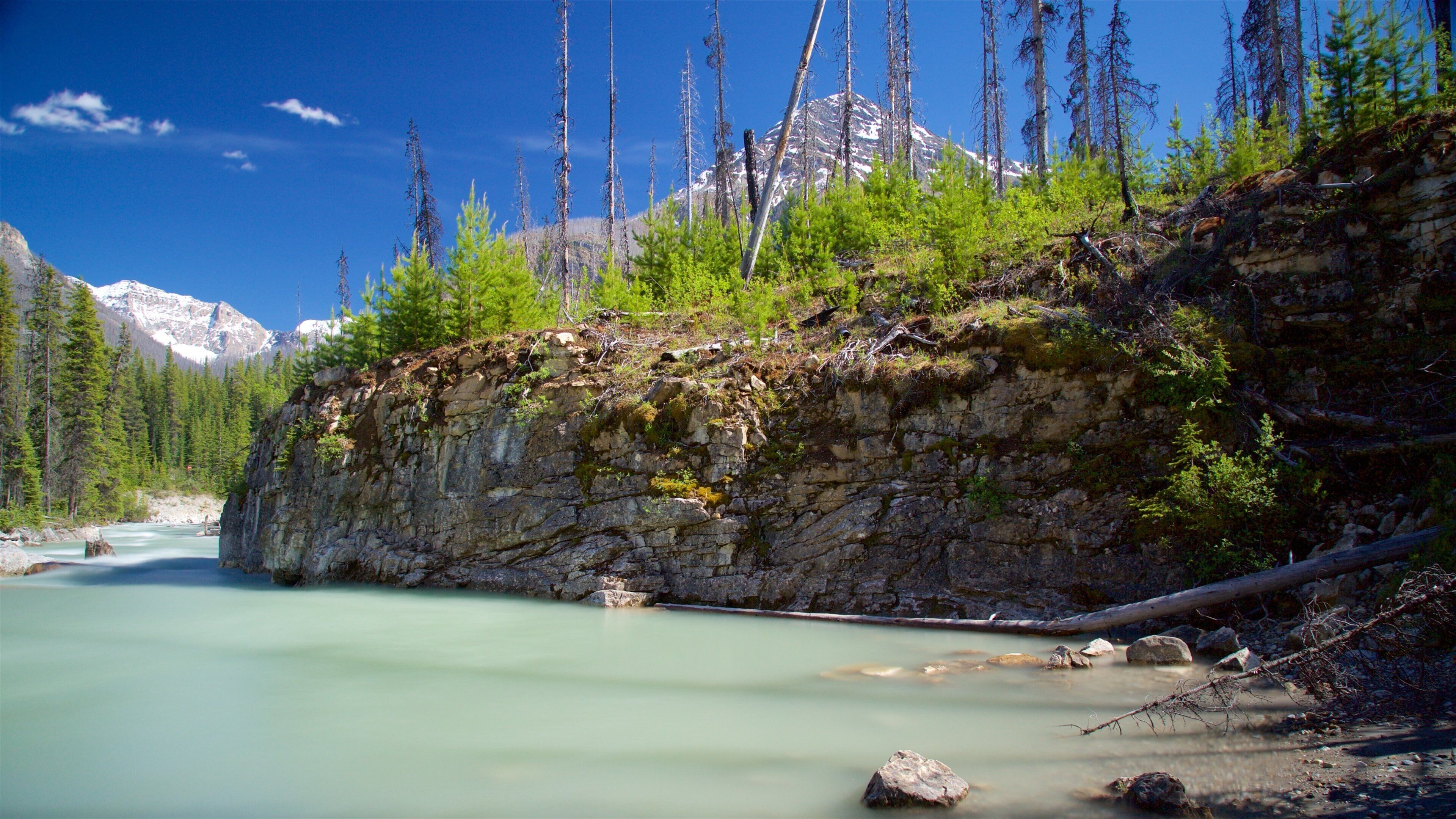 อุทยานแห่งชาติคูเทเน ซึ่งรวมถึง แม่น้ำหรือลำธาร และ ป่า