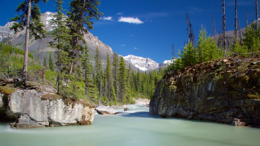 クートニー国立公園 表示 静かな風景 と 河あるいは小川