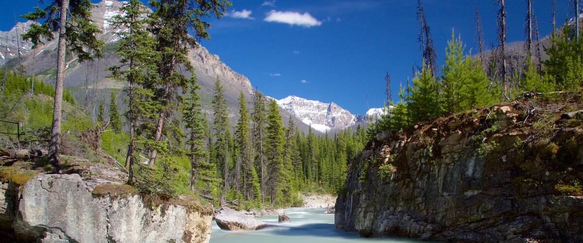 A river flowing through a forest with mountains in the background.