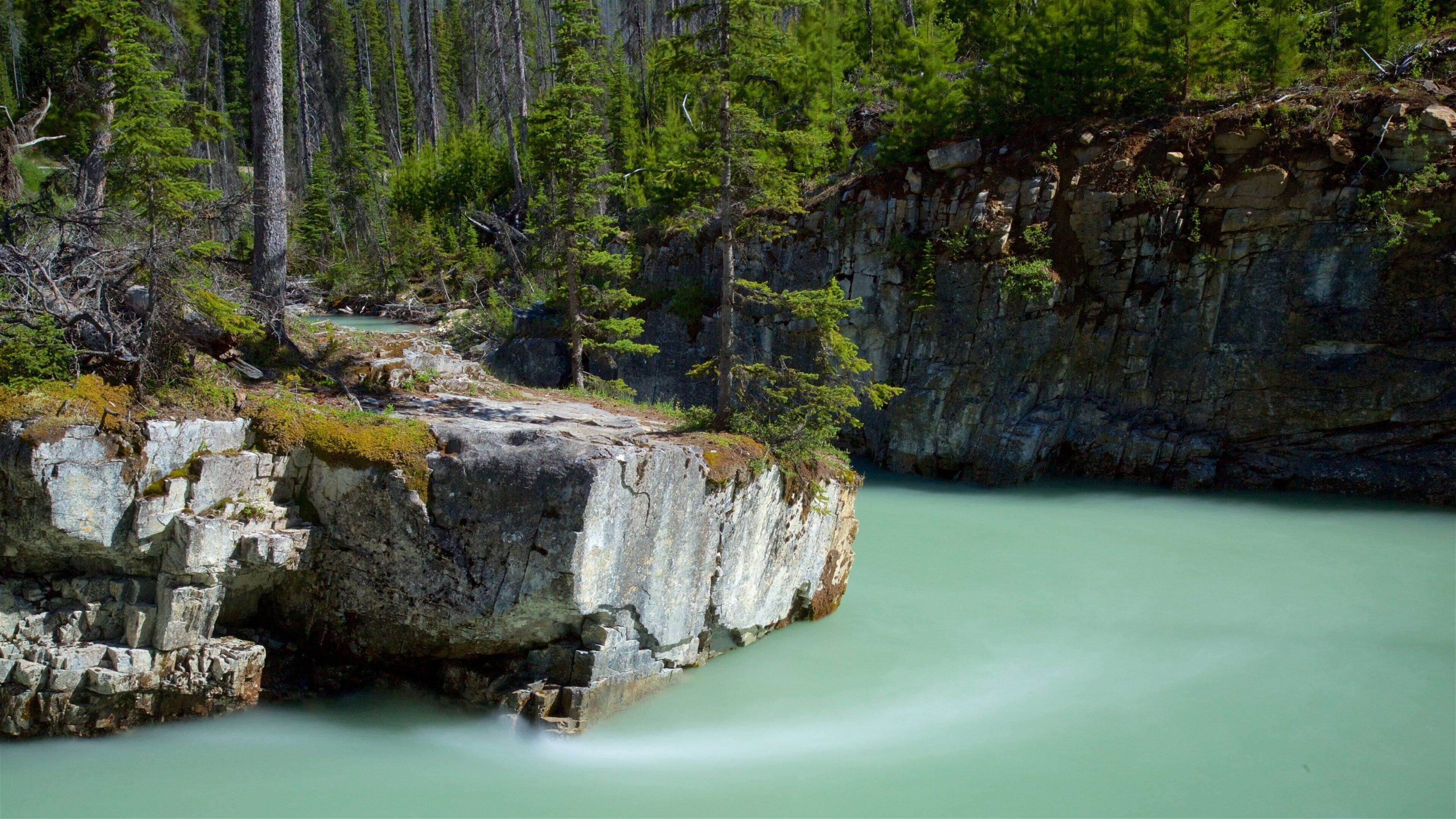 Kootenay National Park mostrando un río o arroyo y escenas tranquilas