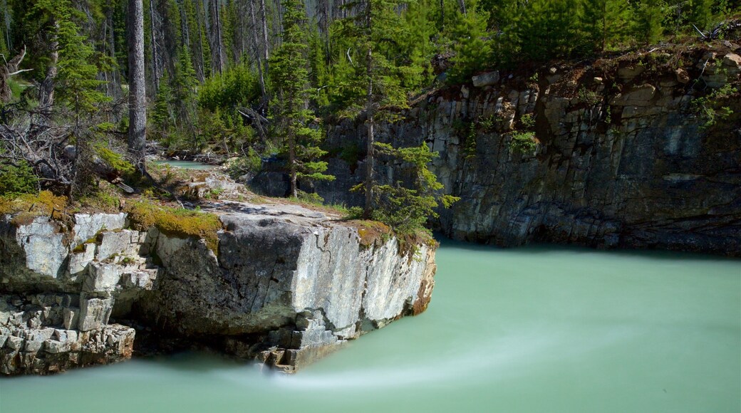 Kootenay National Park featuring a river or creek and tranquil scenes