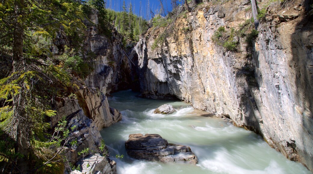 Kootenay National Park showing rapids