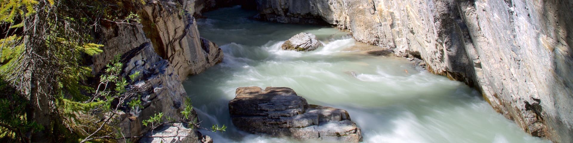 Kootenay National Park featuring rapids