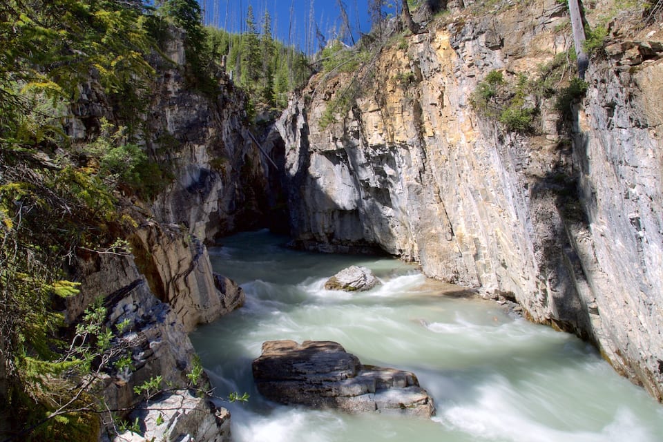 Een snelstromende rivier door een rotsachtige kloof, met dicht bos aan beide zijden.