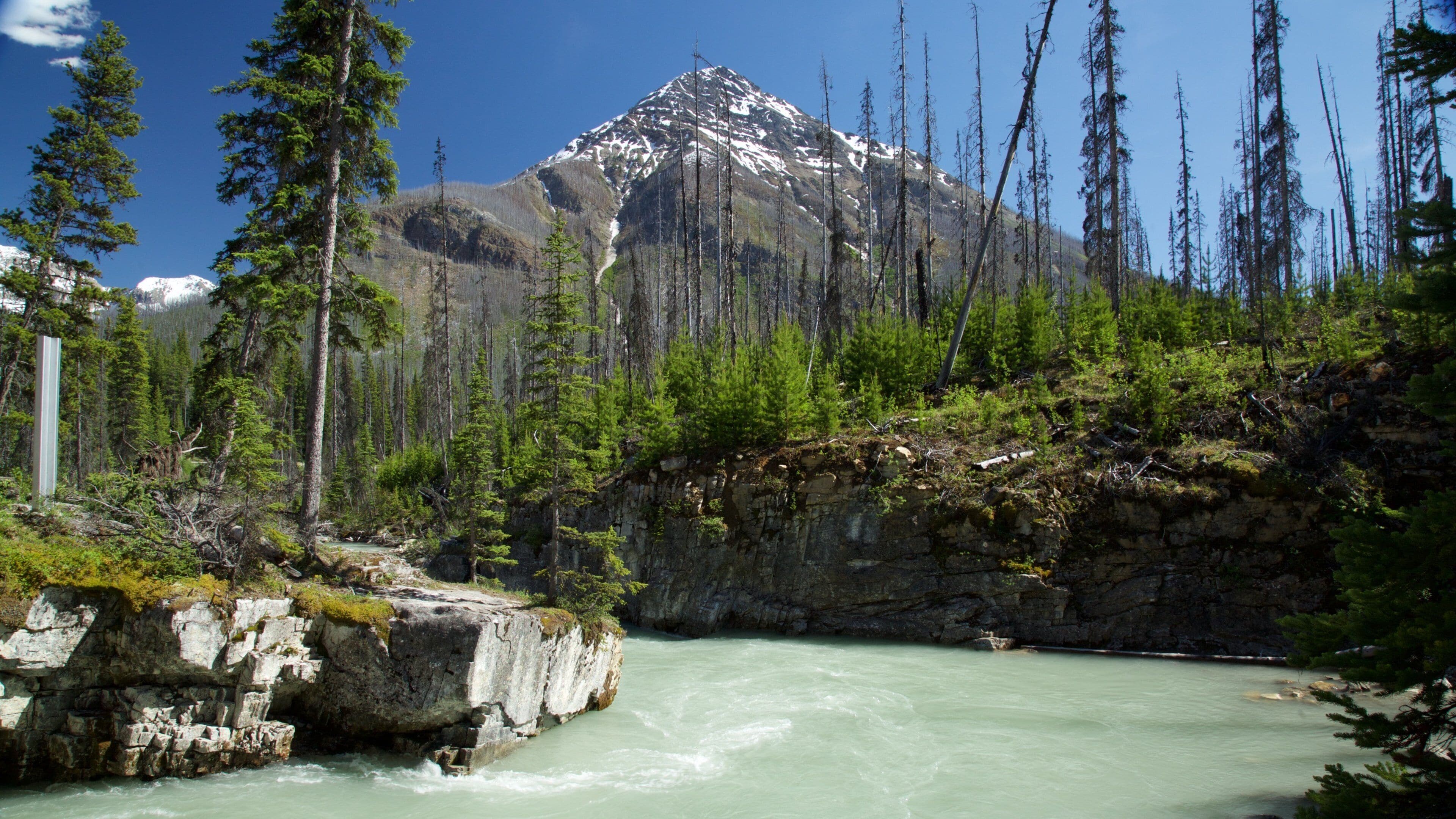 Kootenayn kansallispuisto featuring joki tai puro, vuoret ja rauhalliset maisemat