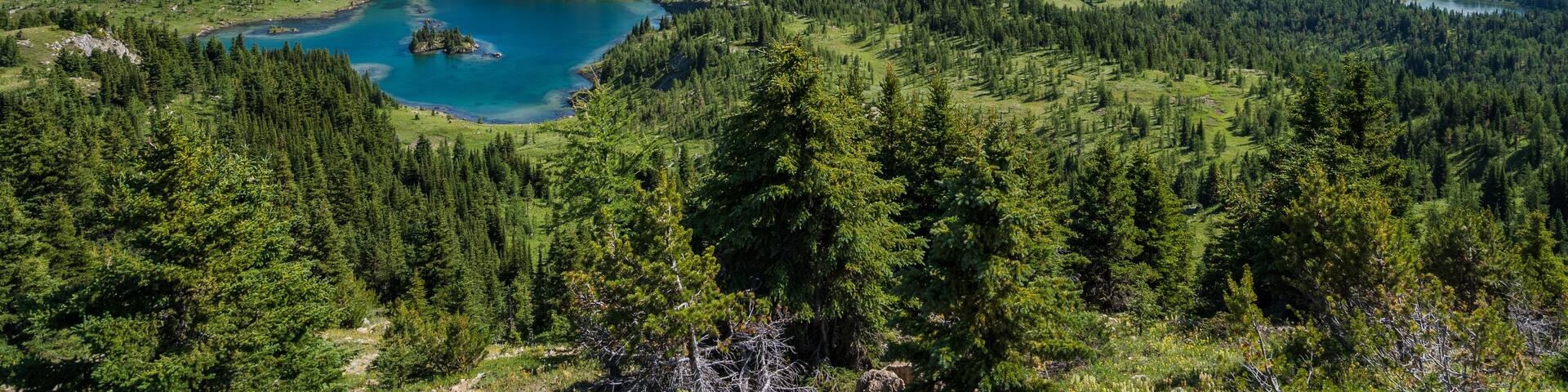 Lush landscape at Sunshine Meadows during summer in Banff National Park, Alberta, Canada.