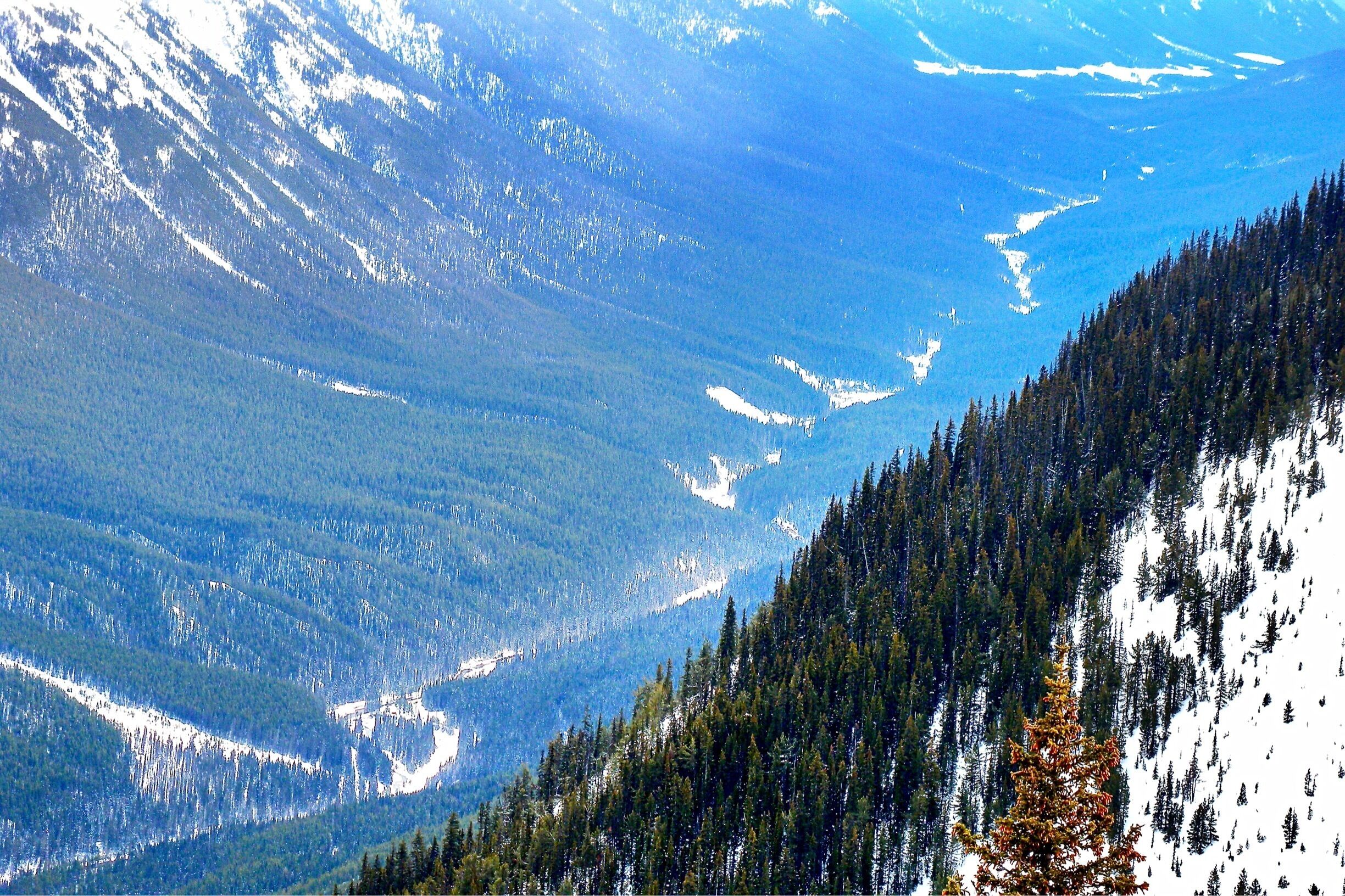 Bow Valley and Bow River view from the top of Sulphur Mountain, Banff National Park, Alberta, Canada.
#Canada #Alberta #BanffNationalPark #SulphurMountain #mountains #valley #GreatOutdoors #NationalPark