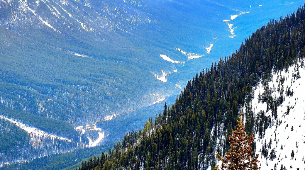 Bow Valley and Bow River view from the top of Sulphur Mountain, Banff National Park, Alberta, Canada.
#Canada #Alberta #BanffNationalPark #SulphurMountain #mountains #valley #GreatOutdoors #NationalPark