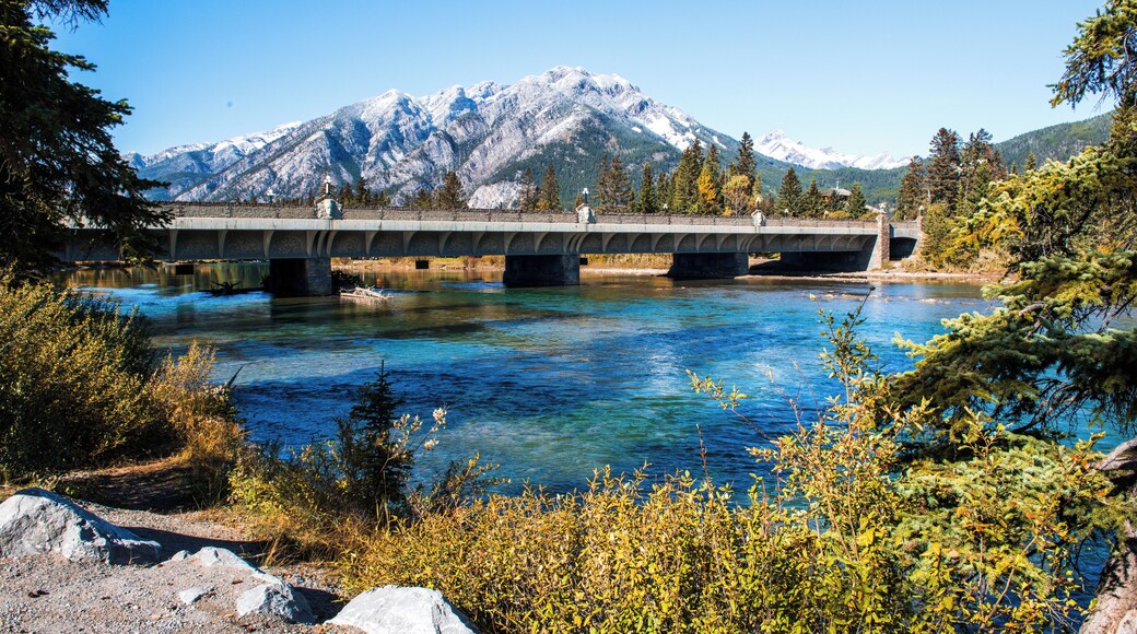 Banff_MtNorquay_553248621532863752_02