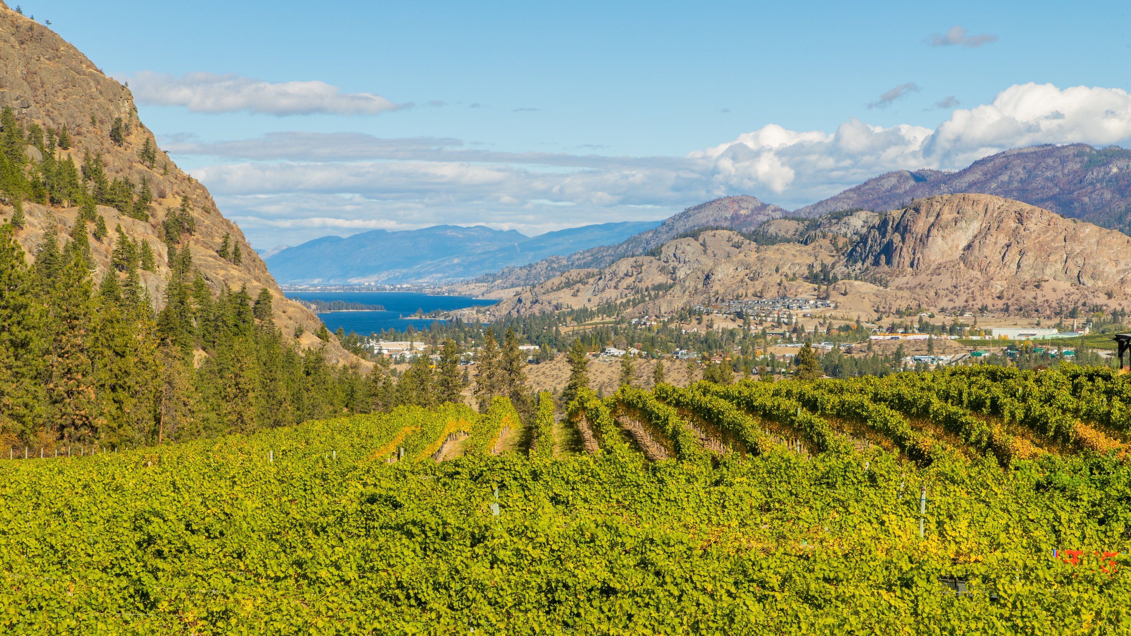 See Ya Later Ranch which includes mountains and farmland