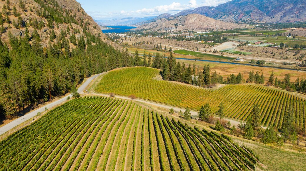 See Ya Later Ranch featuring landscape views, farmland and tranquil scenes