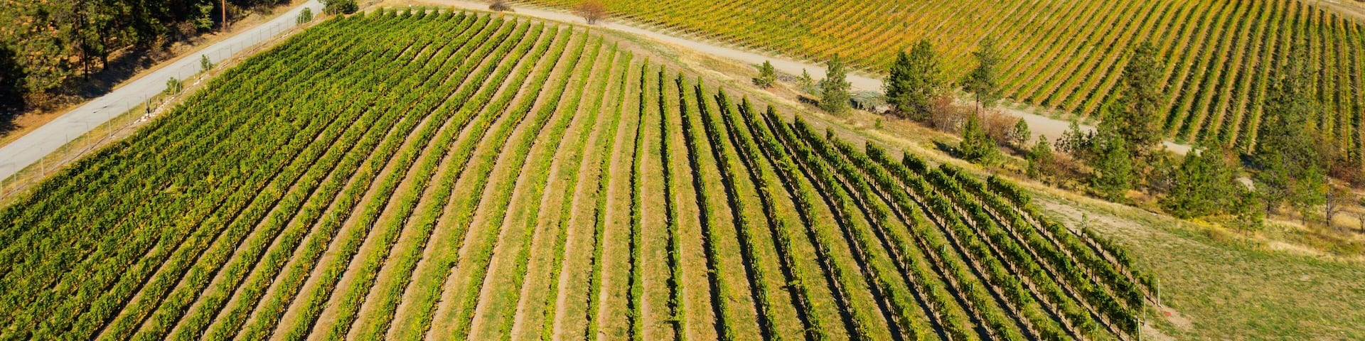 See Ya Later Ranch featuring landscape views, farmland and tranquil scenes