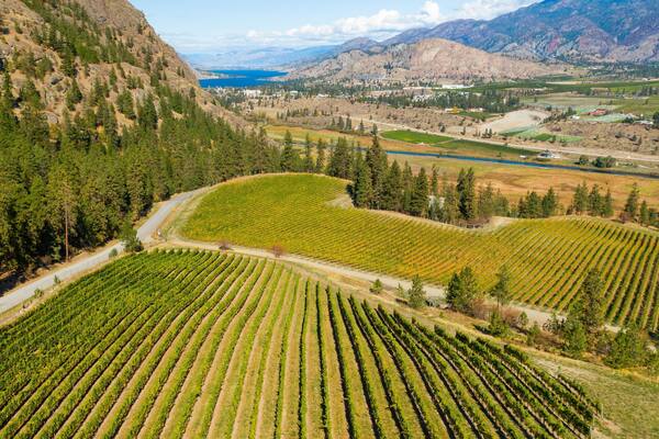 See Ya Later Ranch featuring landscape views, farmland and tranquil scenes