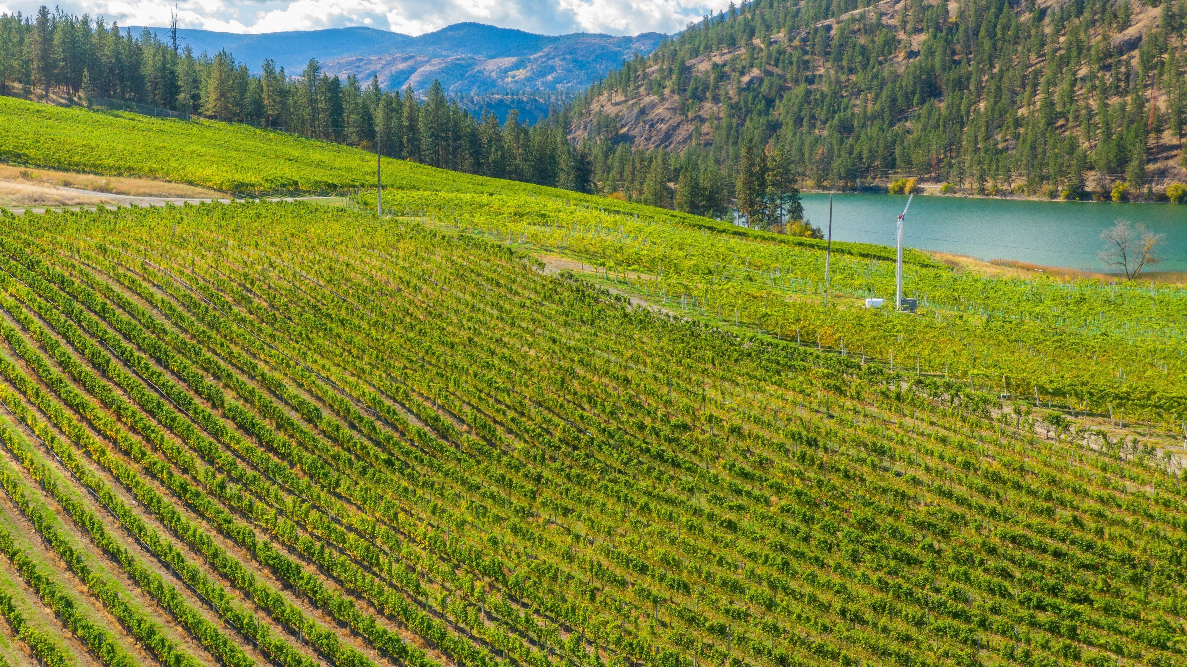 See Ya Later Ranch showing farmland