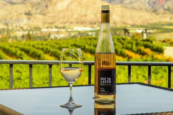 Eine Weinflasche und ein Glas auf einem Tisch, im Hintergrund ein Weinberg.