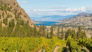 See Ya Later Ranch featuring tranquil scenes and mountains