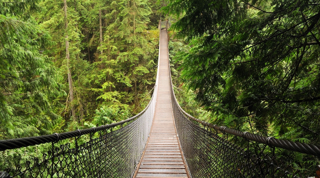 Lynn Canyon Suspension Bridge