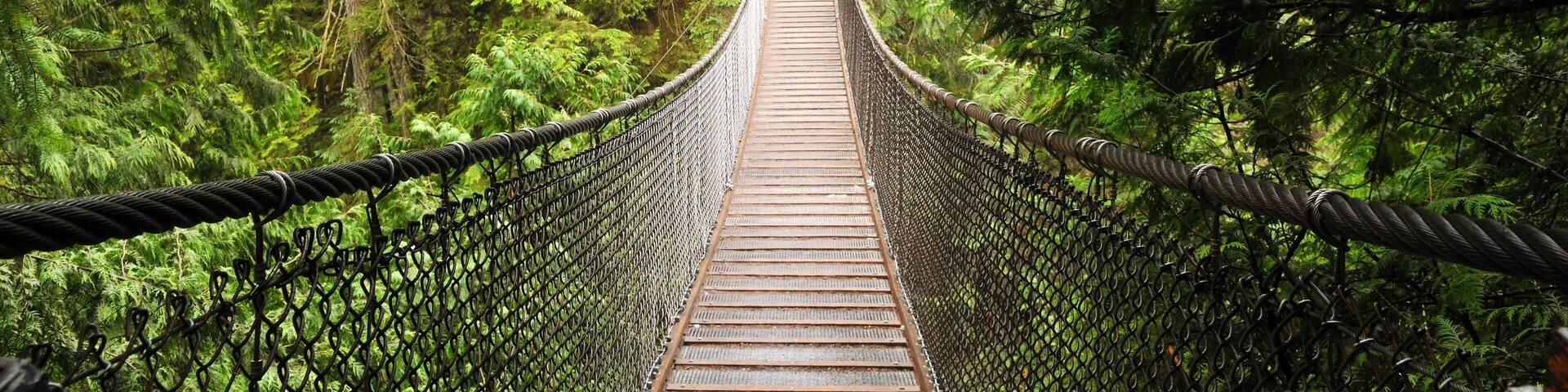 lynn valley suspension bridge