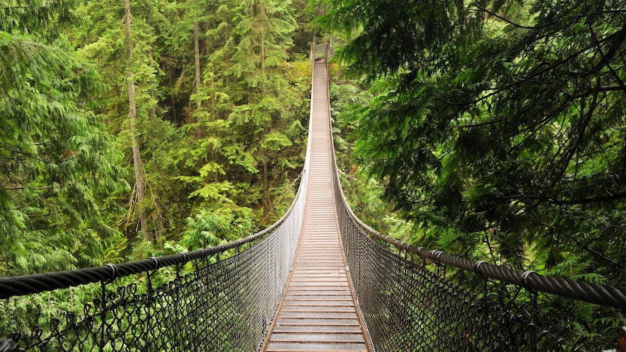 Pont Suspendu de Lynn Canyon