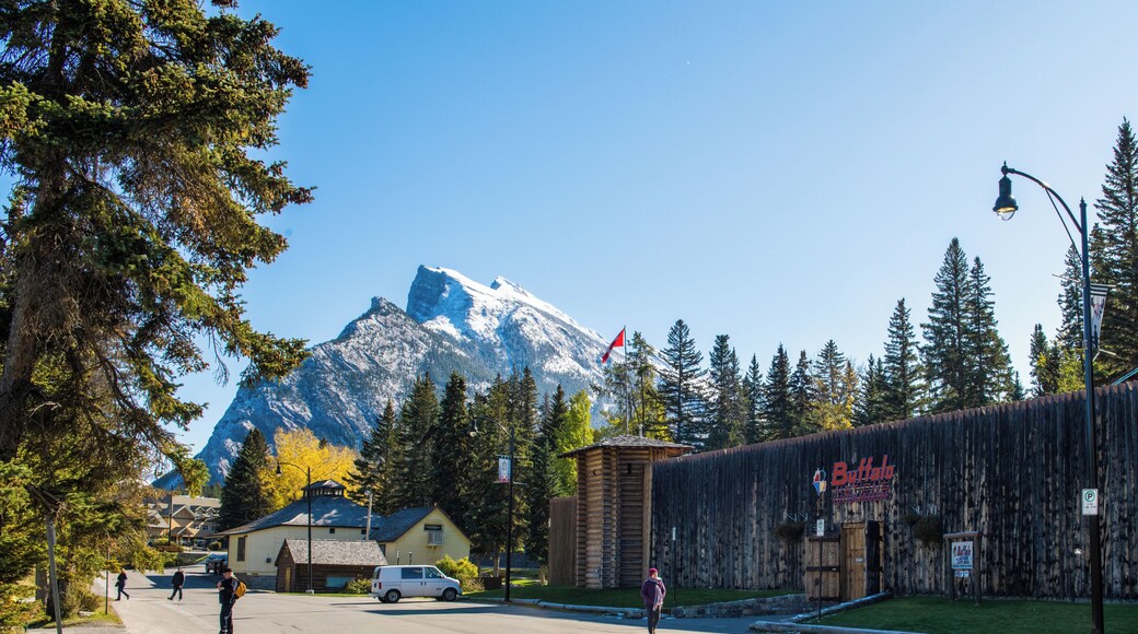 Buffalo Nations Luxton Museum