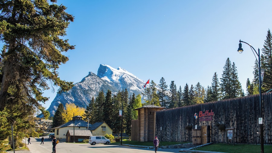 Buffalo Nations Luxton Museum