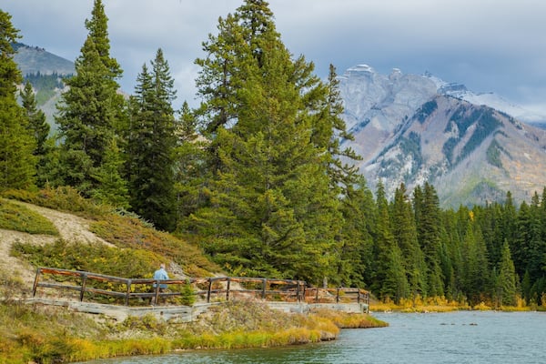 Minnewanka Loop / Lake Johnson featuring mountains, forest scenes and a lake or waterhole