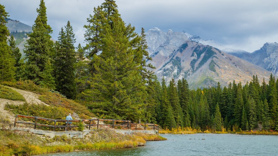 Minnewanka Loop / Lake Johnson featuring mountains, forest scenes and a lake or waterhole