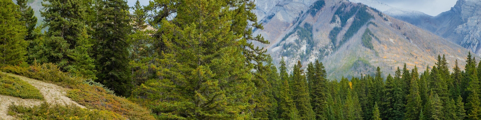 Minnewanka Loop / Lake Johnson featuring mountains, forest scenes and a lake or waterhole
