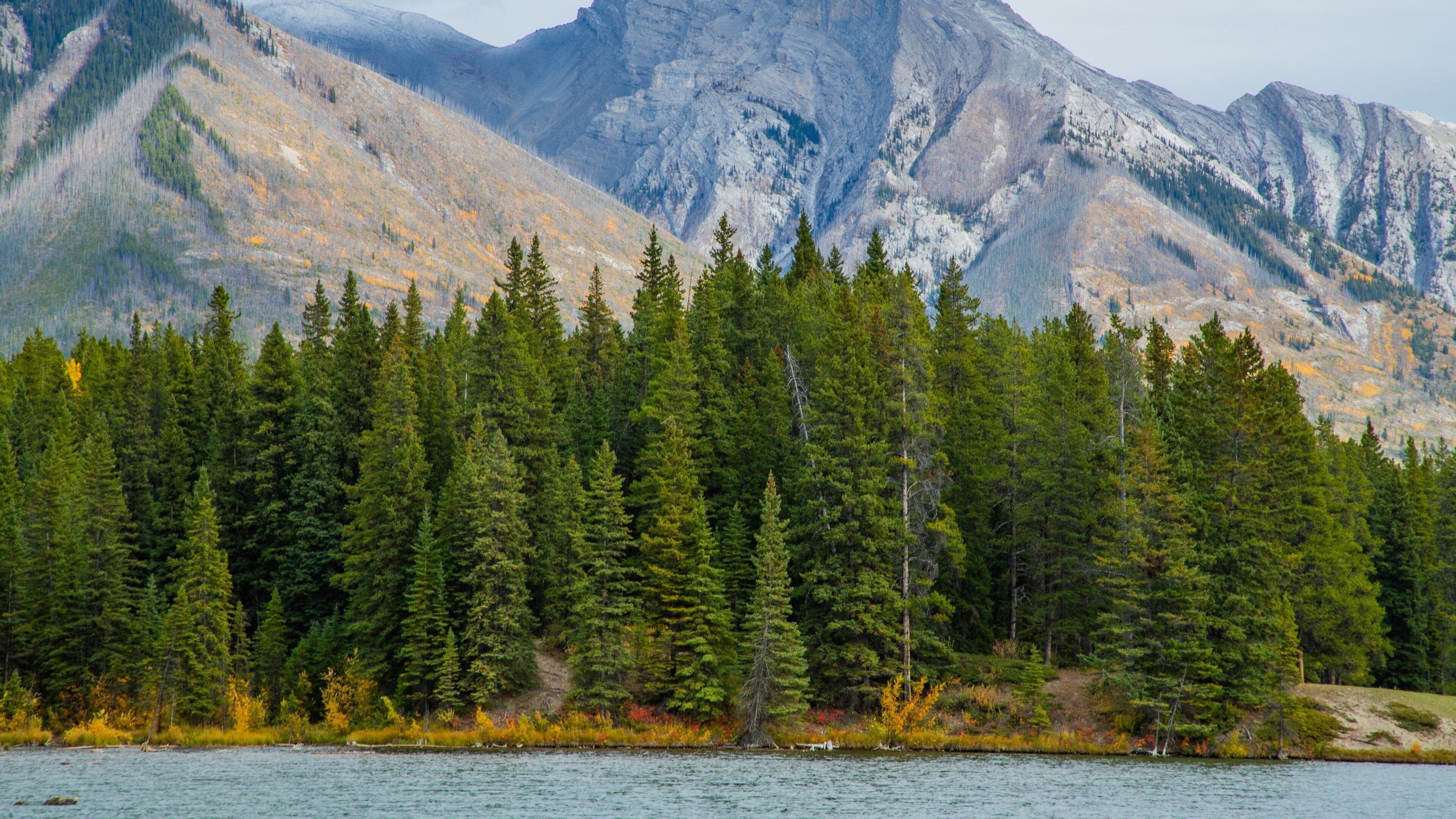 Minnewanka Loop / Lake Johnson showing mountains, a lake or waterhole and forest scenes