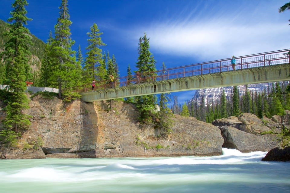 A bridge over a river with a rocky cliff and trees.