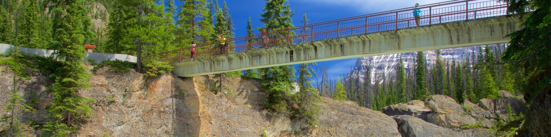 Yoho National Park featuring a bridge and a river or creek