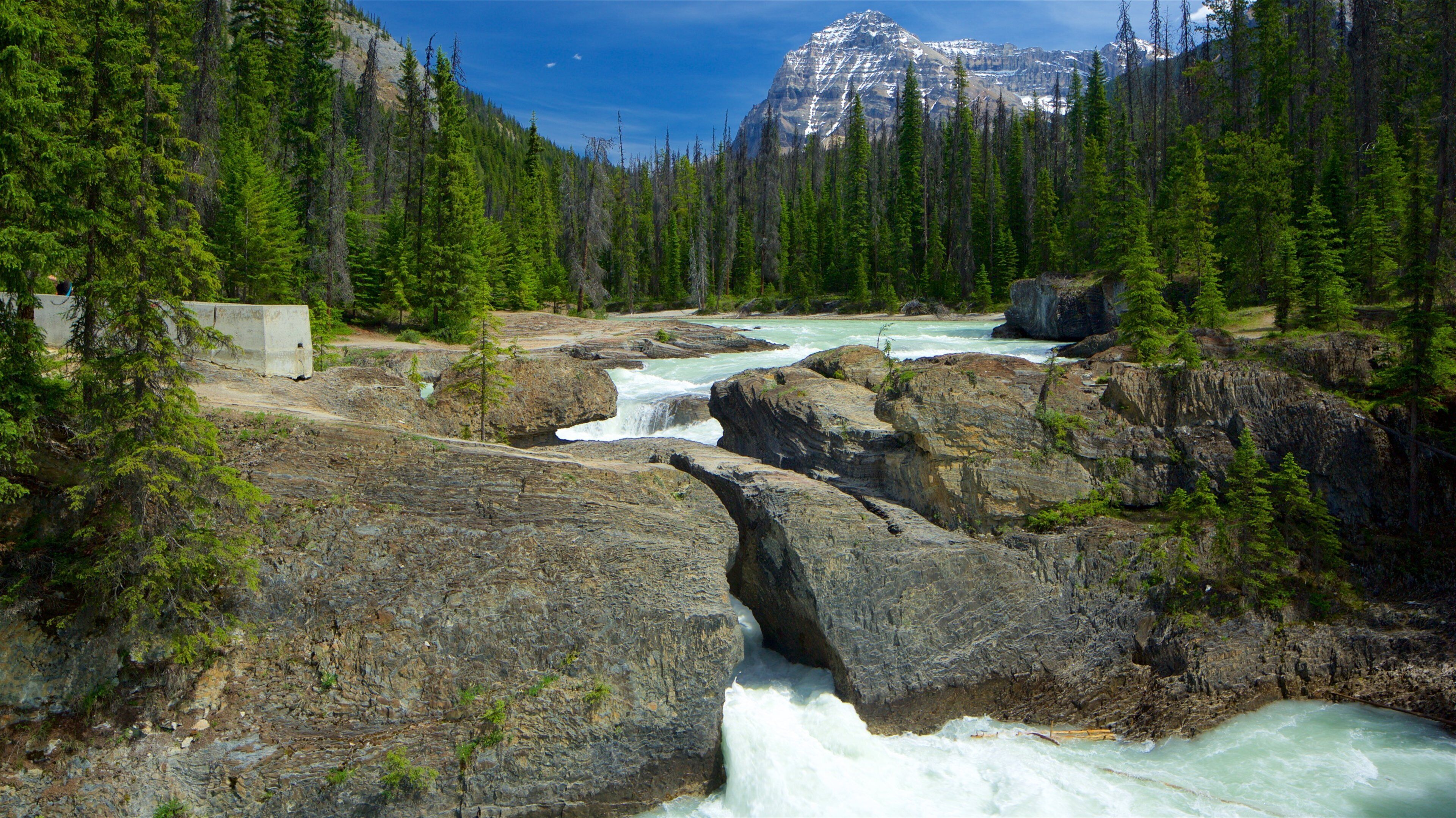 Kootenay Rockies featuring a river or creek